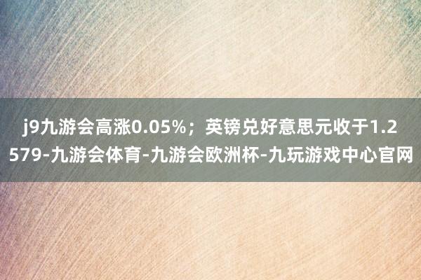 j9九游会高涨0.05%；英镑兑好意思元收于1.2579-九游会体育-九游会欧洲杯-九玩游戏中心官网