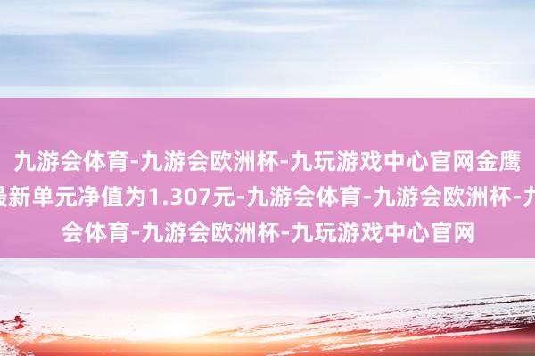 九游会体育-九游会欧洲杯-九玩游戏中心官网金鹰产业整合混杂A最新单元净值为1.307元-九游会体育-九游会欧洲杯-九玩游戏中心官网