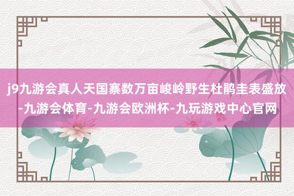 j9九游会真人天国寨数万亩峻岭野生杜鹃圭表盛放-九游会体育-九游会欧洲杯-九玩游戏中心官网