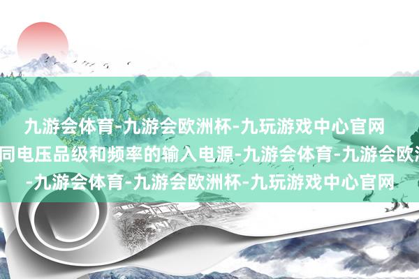 九游会体育-九游会欧洲杯-九玩游戏中心官网  适当性强：玩忽适当不同电压品级和频率的输入电源-九游会体育-九游会欧洲杯-九玩游戏中心官网
