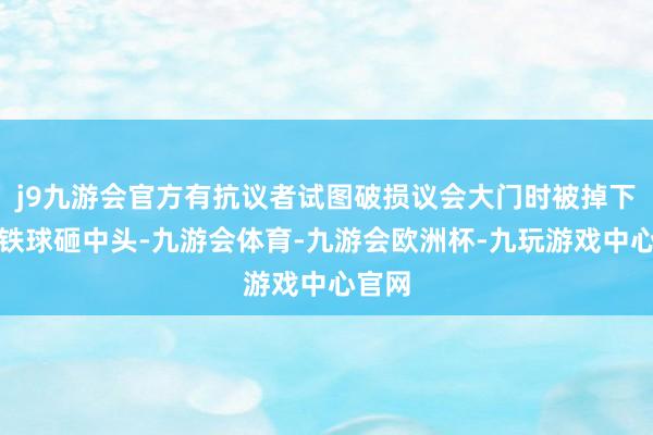 j9九游会官方有抗议者试图破损议会大门时被掉下来的铁球砸中头-九游会体育-九游会欧洲杯-九玩游戏中心官网