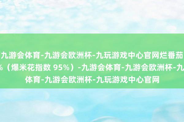九游会体育-九游会欧洲杯-九玩游戏中心官网烂番茄崭新度高达 88%（爆米花指数 95%）-九游会体育-九游会欧洲杯-九玩游戏中心官网