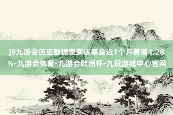 j9九游会历史数据表露该基金近1个月着落4.28%-九游会体育-九游会欧洲杯-九玩游戏中心官网