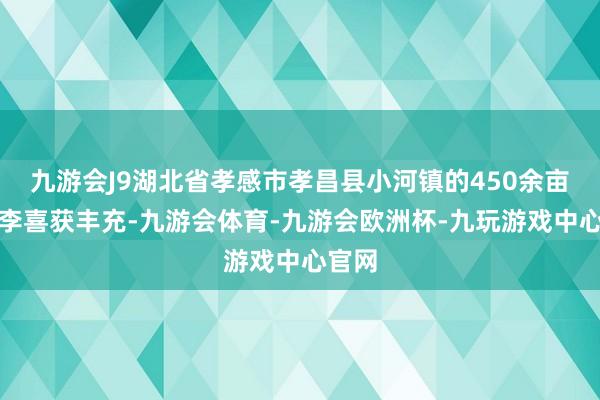 九游会J9湖北省孝感市孝昌县小河镇的450余亩玉皇李喜获丰充-九游会体育-九游会欧洲杯-九玩游戏中心官网