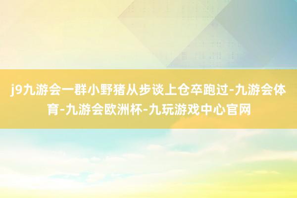 j9九游会一群小野猪从步谈上仓卒跑过-九游会体育-九游会欧洲杯-九玩游戏中心官网