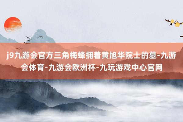 j9九游会官方三角梅蜂拥着黄旭华院士的墓-九游会体育-九游会欧洲杯-九玩游戏中心官网