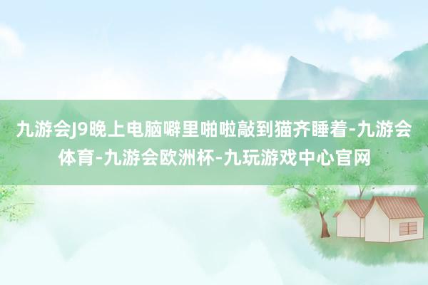 九游会J9晚上电脑噼里啪啦敲到猫齐睡着-九游会体育-九游会欧洲杯-九玩游戏中心官网