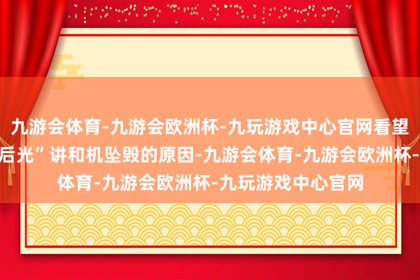 九游会体育-九游会欧洲杯-九玩游戏中心官网看望当日迪拜航展上“后光”讲和机坠毁的原因-九游会体育-九游会欧洲杯-九玩游戏中心官网