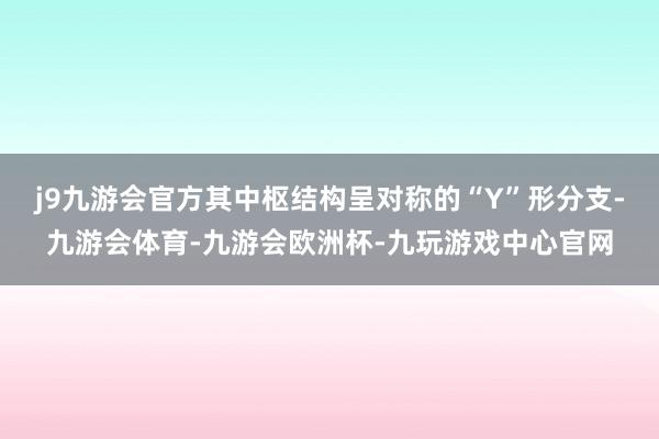 j9九游会官方其中枢结构呈对称的“Y”形分支-九游会体育-九游会欧洲杯-九玩游戏中心官网
